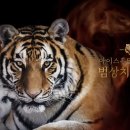호랑이광고 AP신문