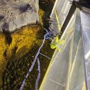 광명동굴 (경관광장) | 아이들과 광명동굴 관람 후기｜공룡탐험전 이후 동굴 내부 코스 솔직 후기