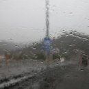 라원농장 이미지