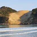 우이도 풍성사구(모래언덕) 이미지