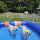 조이원펜션 이미지