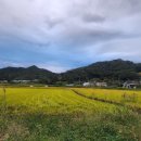 느루농장 이미지