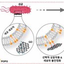 U can 태권도 이미지