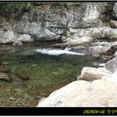 새밭야영장 이미지