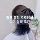 시크릿(secret)헤어 | 양주 옥정 미용실 추천 : 초등학생 시크릿염색까지 가능한 오호헤어 후기 (주차 시술 정보)