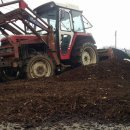 박종관농장 이미지