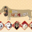 누리동물병원 이미지