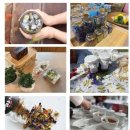 소백산꽃차이야기팜스테이 이미지