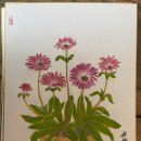 미술관스테이 이미지