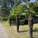 무전7길 이미지