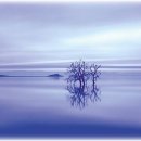 김*용 - 안양시 동안구 학의로 46 | 김*용
