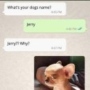 제리스토리 이미지