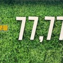 하림투어 이미지