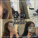 라성로1 이미지