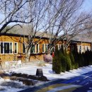 카페더로그앤통나무집 | 곡성 카페 추천 아이랑 가기 좋은 카페더로그앤통나무집