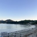 핑스애견펜션 이미지