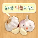더달다 이미지