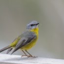 경기행정사사무소 이미지