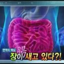 새는장 증후군 이미지