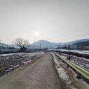 소여1리 이미지