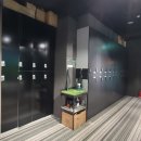강남필드레슨 레인지엑스역삼골프 레슨 받은 후기