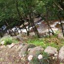 내원계곡라온펜션 이미지