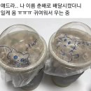 춘배 이미지