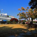 곡성-225 이미지