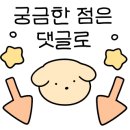 파밀리에드마스코타 천안두정점 천안강아지분양 천안고양이분양 이미지