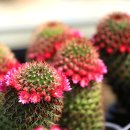 오수리농장 이미지