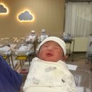 아기천사 | 아기천사를 만나다 송도 곽생로 산부인과 제왕절개 후기 출산 기록
