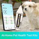 더펫센터 이미지