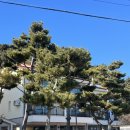 주 스테이 | [태안] 태안 스테이가경주 후기 내돈내산/ 태안 가성비 숙소 추천/ 태안 커플 2인 숙소