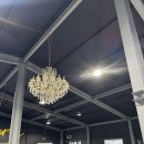 크로스핏오짐 | 🔥 남자친구 마운자로 5일차 후기 | 벌써 -4.5kg?! 효과 실화냐… 하지만 변화 신호도 왔다