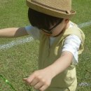 내수공설운동장 이미지