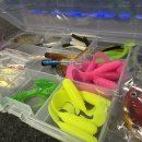 영진소프트 | 🎣 “낚시 처음인데 장비부터 막막하다면?” 에버웨이브 루어세트 실사용 후기