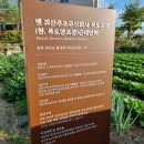 목도주민센터 앞 이미지