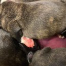 (주)소리안 이미지