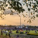 시흥 갯골생태공원 이미지