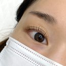 눈속뷰티 | 인계동속눈썹펌 디아엘뷰티 누글루속눈썸펌 추천후기