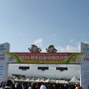 2024 제주감귤국제마라톤 10K 후기(+문제점들)