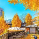 마포-현장-마포-1600 이미지