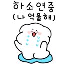 오늘은 쭈꾸미