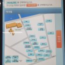 가가호호조은약국 | 서울아산병원 알레르기내과 약물알레르기 검사 1차 방문