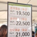UR(천안시)-[번영로]-상-30 | [천안맛집] 천안능수한우숯불구이축제 마지막날, 맛있는 한우와 인삼튀김 먹고 온 후기