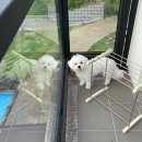 요기가펜션 이미지