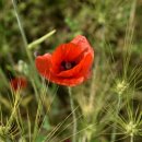 장동보건진료소 이미지