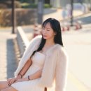 29170-6-A-04 | 쉬인 미니 원피스 6벌 후기｜연말 파티룩부터 봄까지