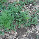 간식창고 이미지