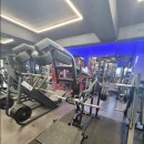 바디플러스 이미지